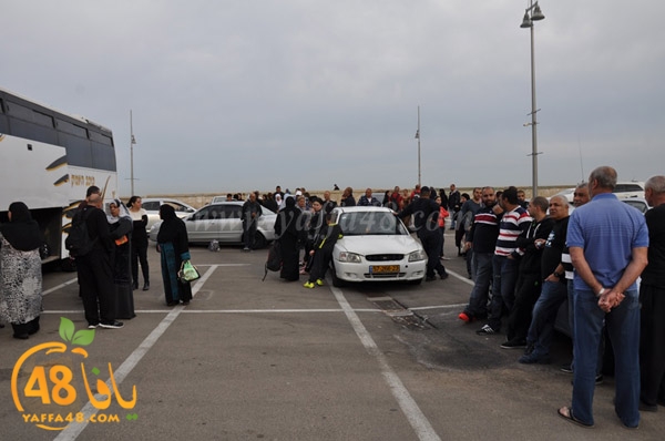 mo3tmreen yaffa foj 2 2015 (5).JPG